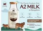 organic cow milk in electronic city