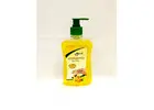 Buy Panchgavya Hand Wash Online: make hands germ free