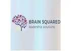 Brain Squared Solutions Inc.